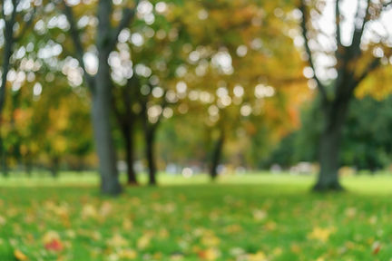 iStock-1489746024.jpg