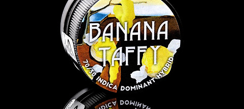 CopyofBananataffyliverosin_jar_2024-02-1322-46-54_B_R1_S1_-2_1024x1024_2x_edited.jpg