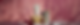 Mother's day image - website slider MAY 2026.png