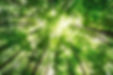 iStock-506856658.jpg