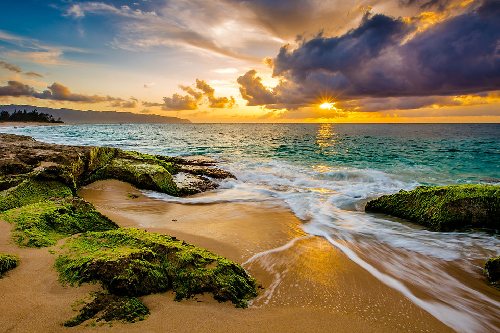 iStock-519574260.jpg