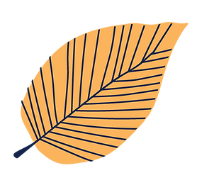 Design Element