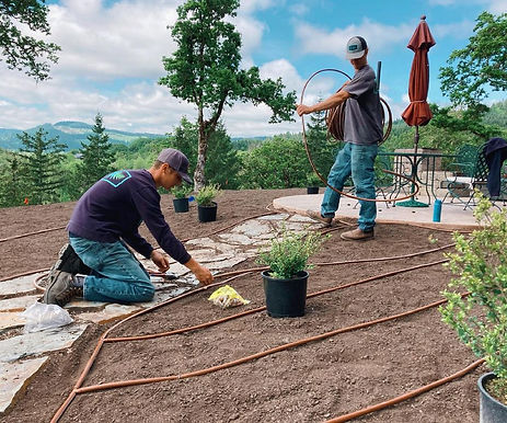 irrigation drip crew.jpg