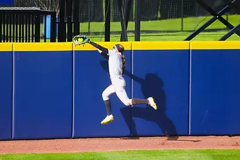Lushar Catch.jpeg
