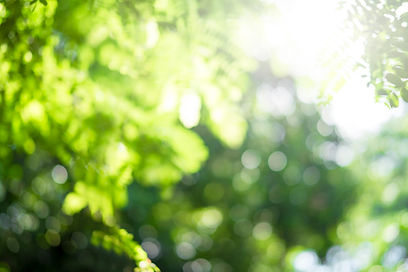 iStock-843325458.jpg