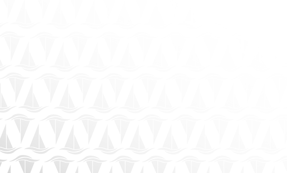 2.2.24 GS Logo Pattern.png