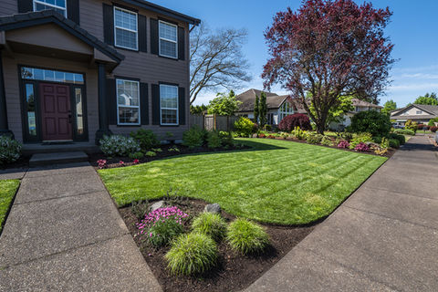 Well-maintained suburban house with dark siding, green lawn, and landscaping.