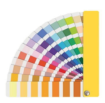Color Palette.png