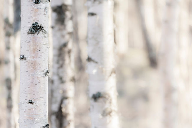 iStock-465897694.jpg