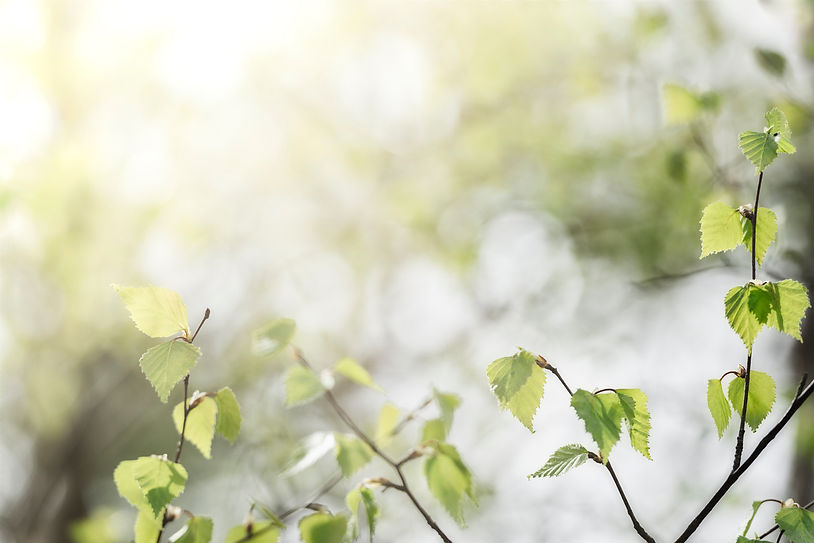 iStock-1396238812.jpg