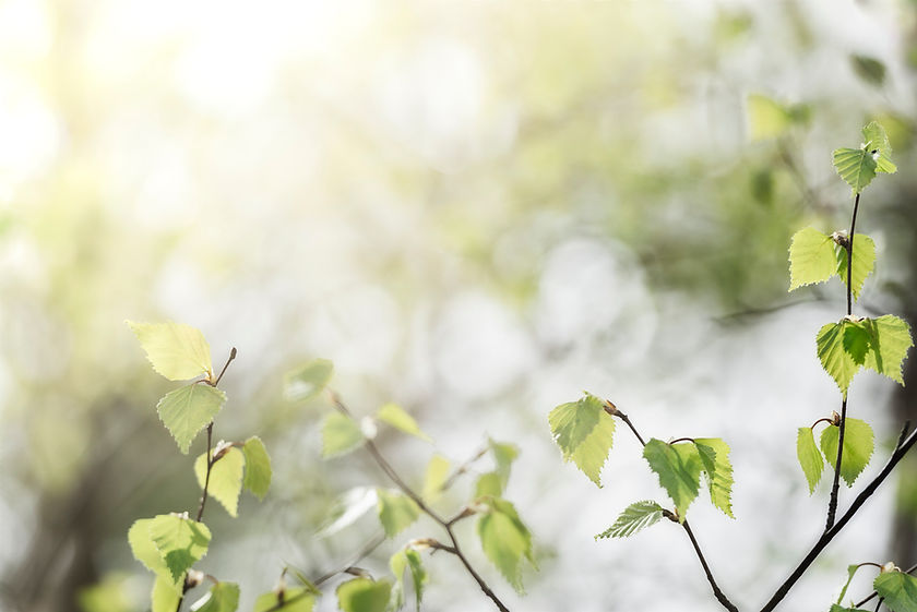 iStock-1396238812.jpg