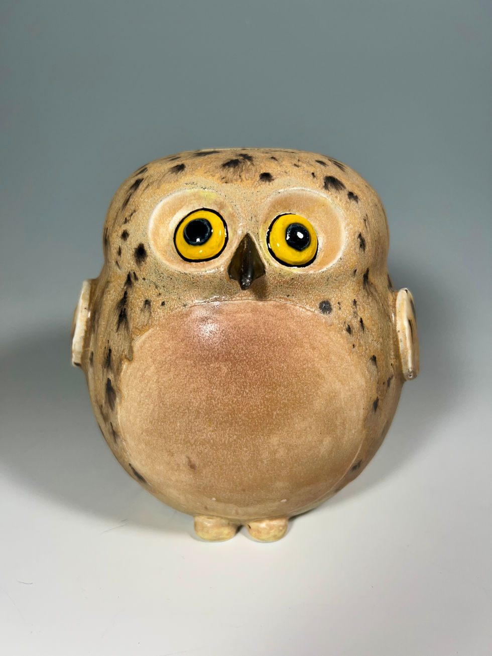 A piggy bank in the shape of an owl.