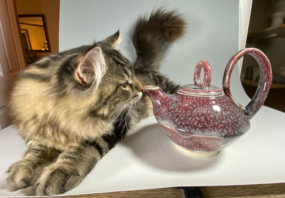 a cat sniffing a red teapot on a table