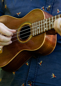 Ukulele hands adult 1.JPEG