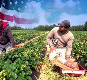 visa de trabajo para estados Unidos y Canadá