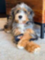 Penny (Macy)- Karen Prigmore1