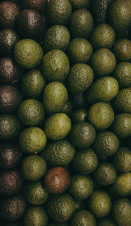alejandro-duarte-oEVso2to-C4-unsplash.jp
