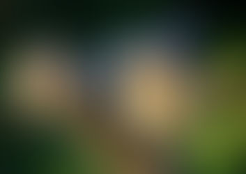 Jipiieee mit Krönchen...sie ist daaaa :-) Bin schwer verliebt. (Ein paar Fakten am Rande: 1,37m, 106