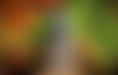 KUNST HAND WERK & DESIGN in "die Glocke", Bremen