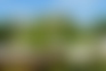 Vom 29. Juni bis 01. Juli sind der Karohosenkönig und Co. mit mir auf der zauberhaften Landpartie En