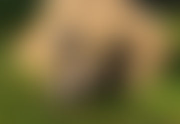 Tadaaaa...meine neue, kleine "Tanzmaus mit Hasenohrhaarreif" ist fertig...freeeeuuu!! (Ich