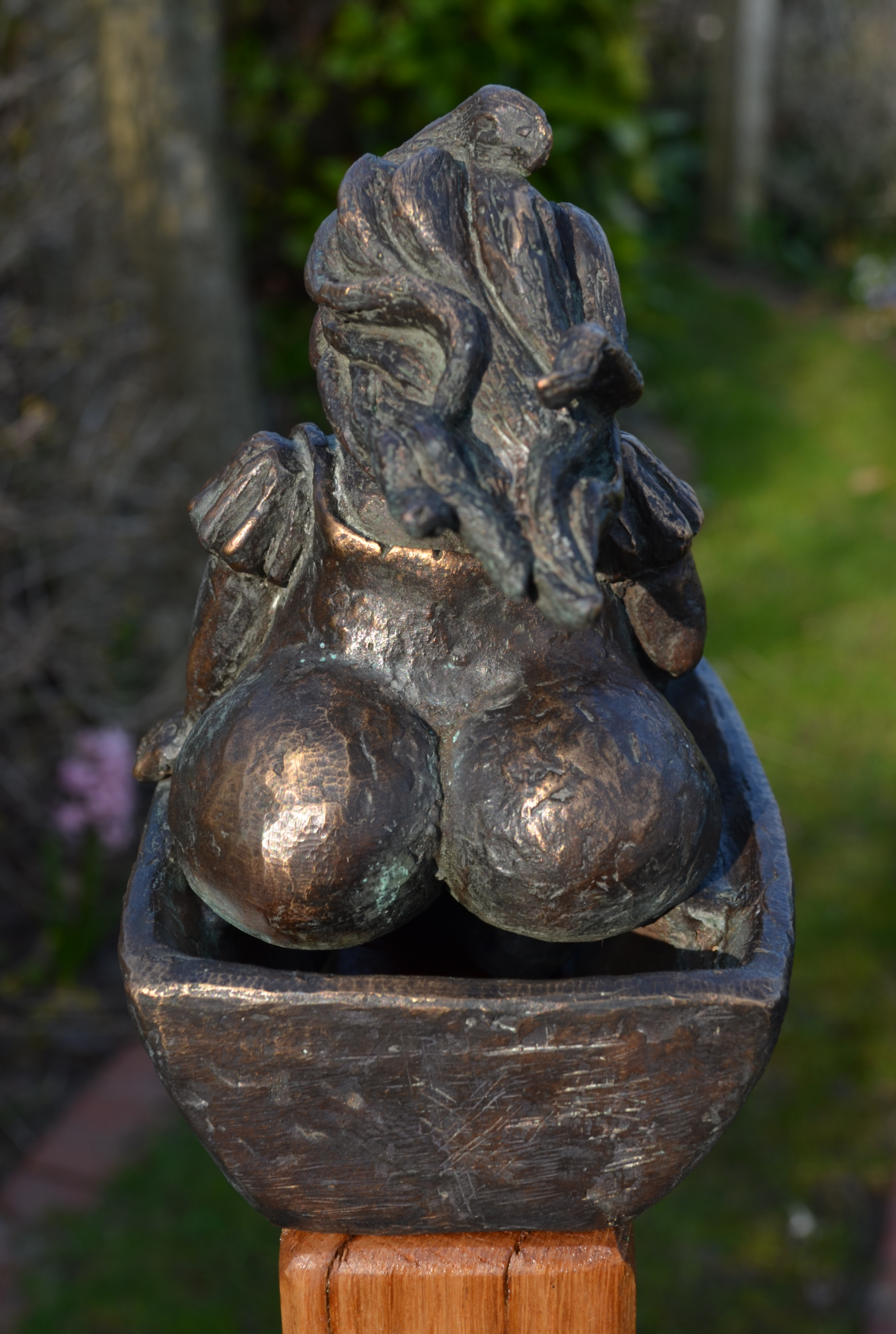 Toby Wichmann Bronze
