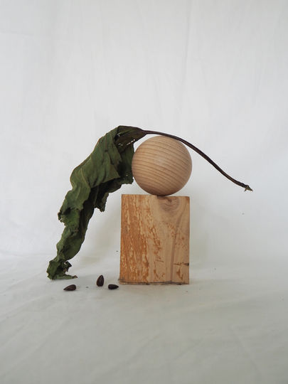 atelier_saison_still_life.jpg