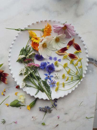 atelier_saison.jpg