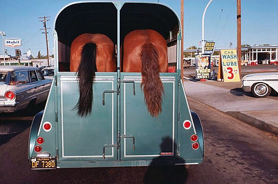 atelier saison  Joel Meyerowitz
