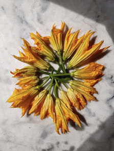 Beignets de fleurs de courgettes