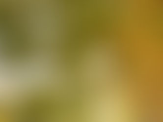 Yoga as a Practical Path