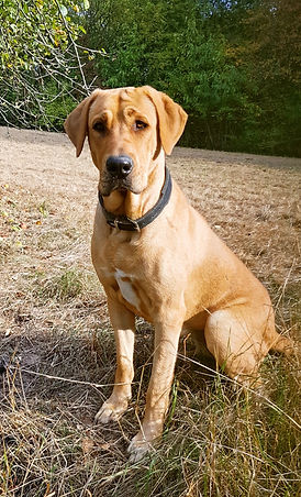 20190922_163308(0)_edited_edited.jpg