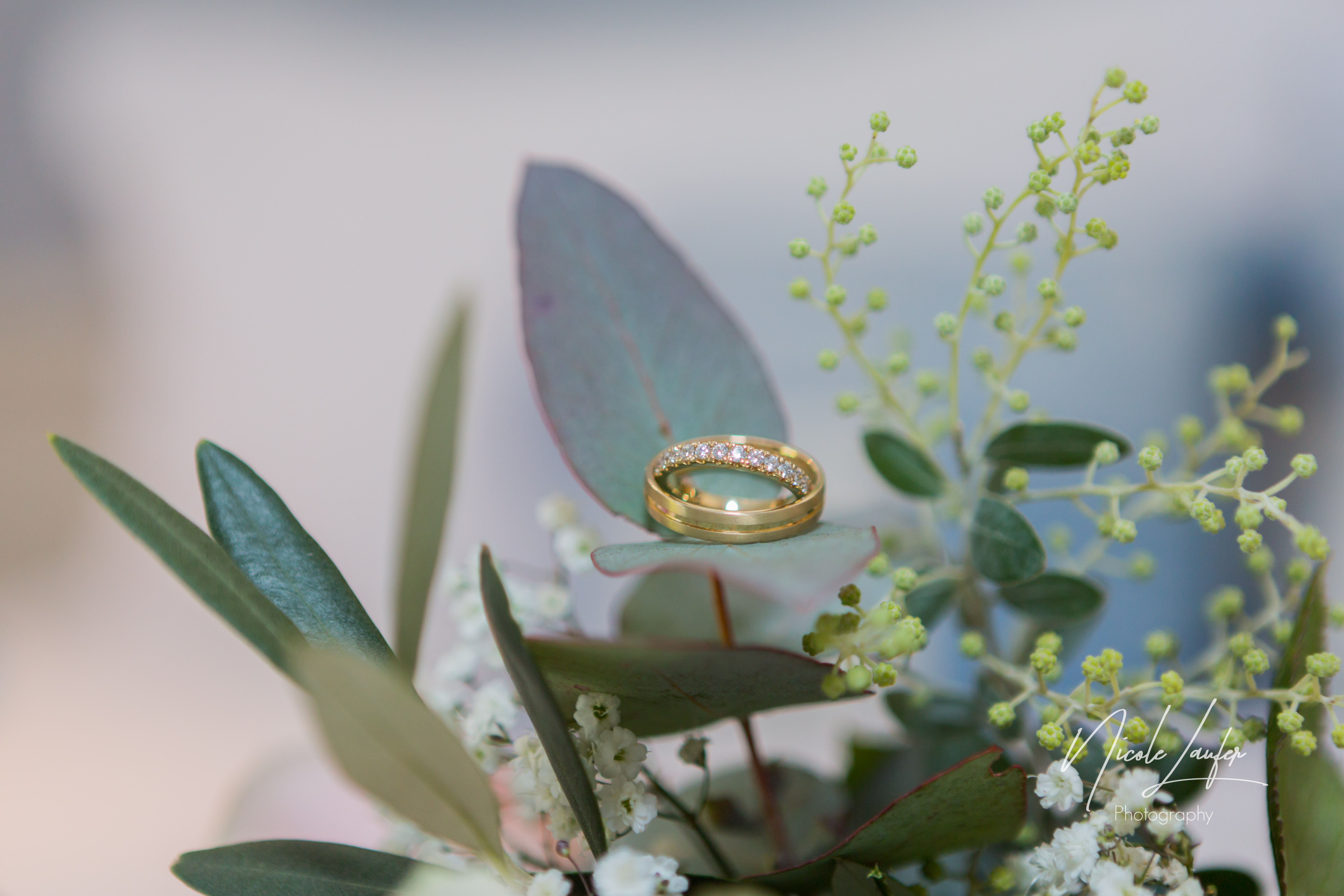 Noosa wedding photography