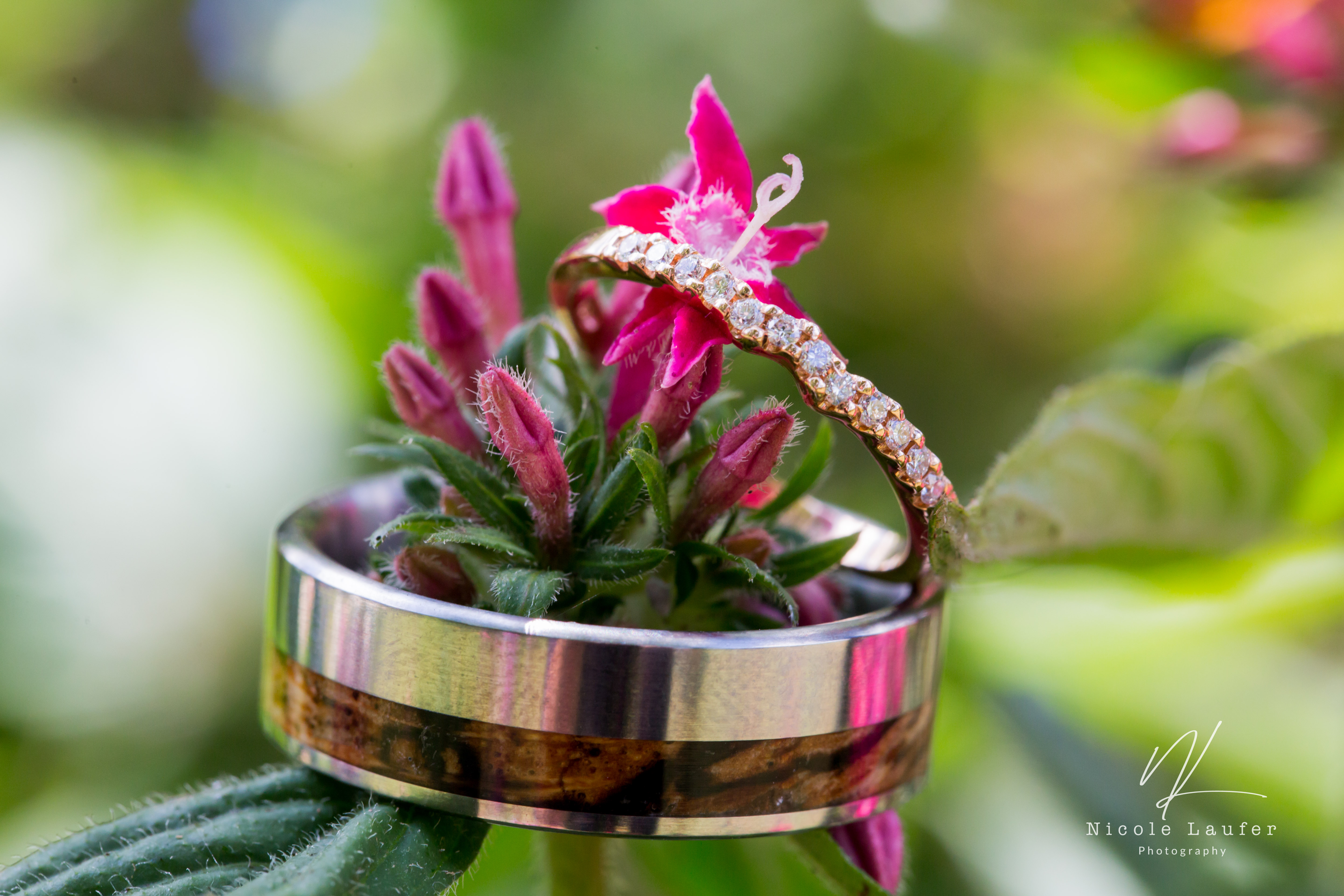 Maleny wedding photography