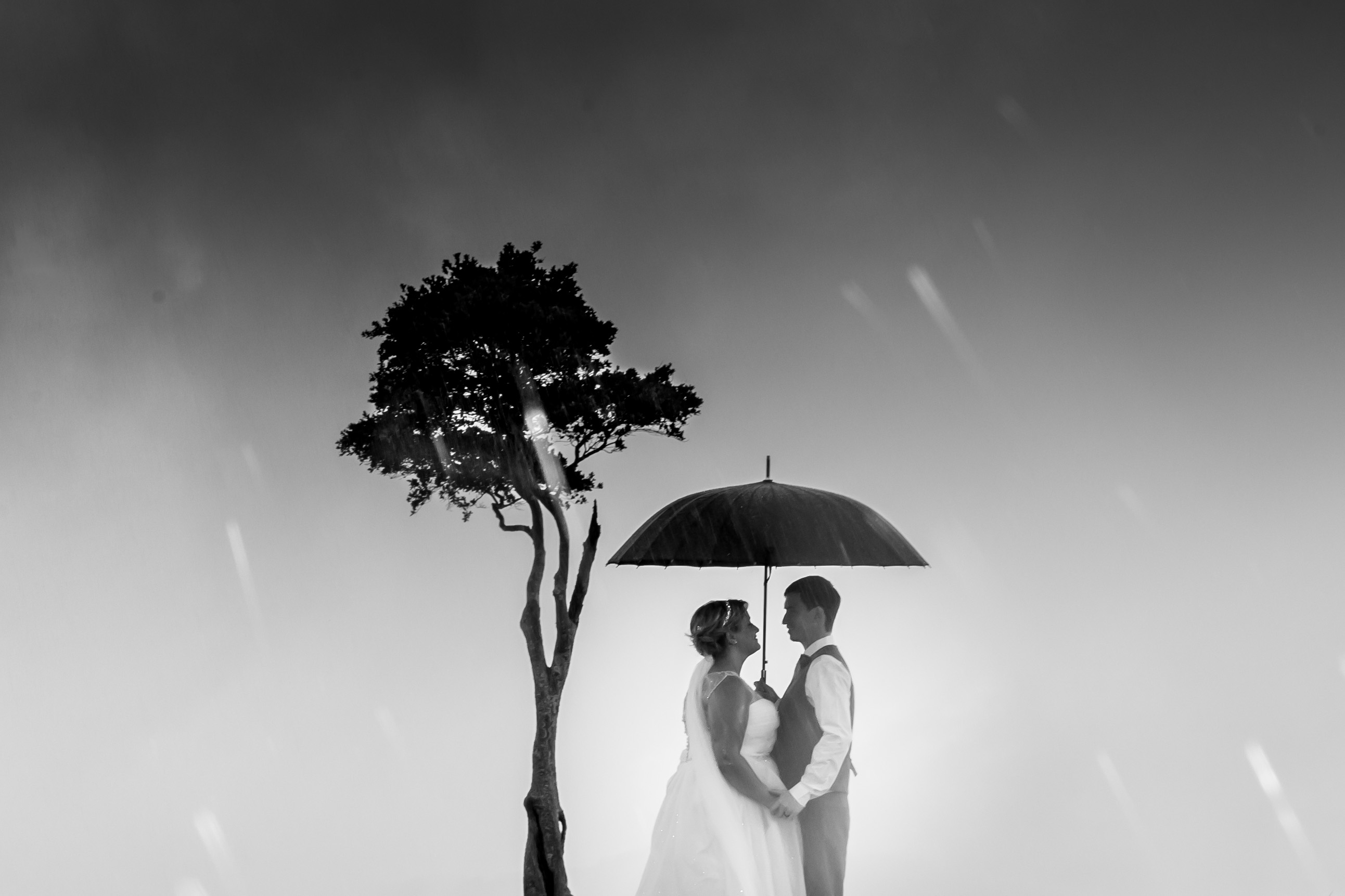 Maleny wedding photography