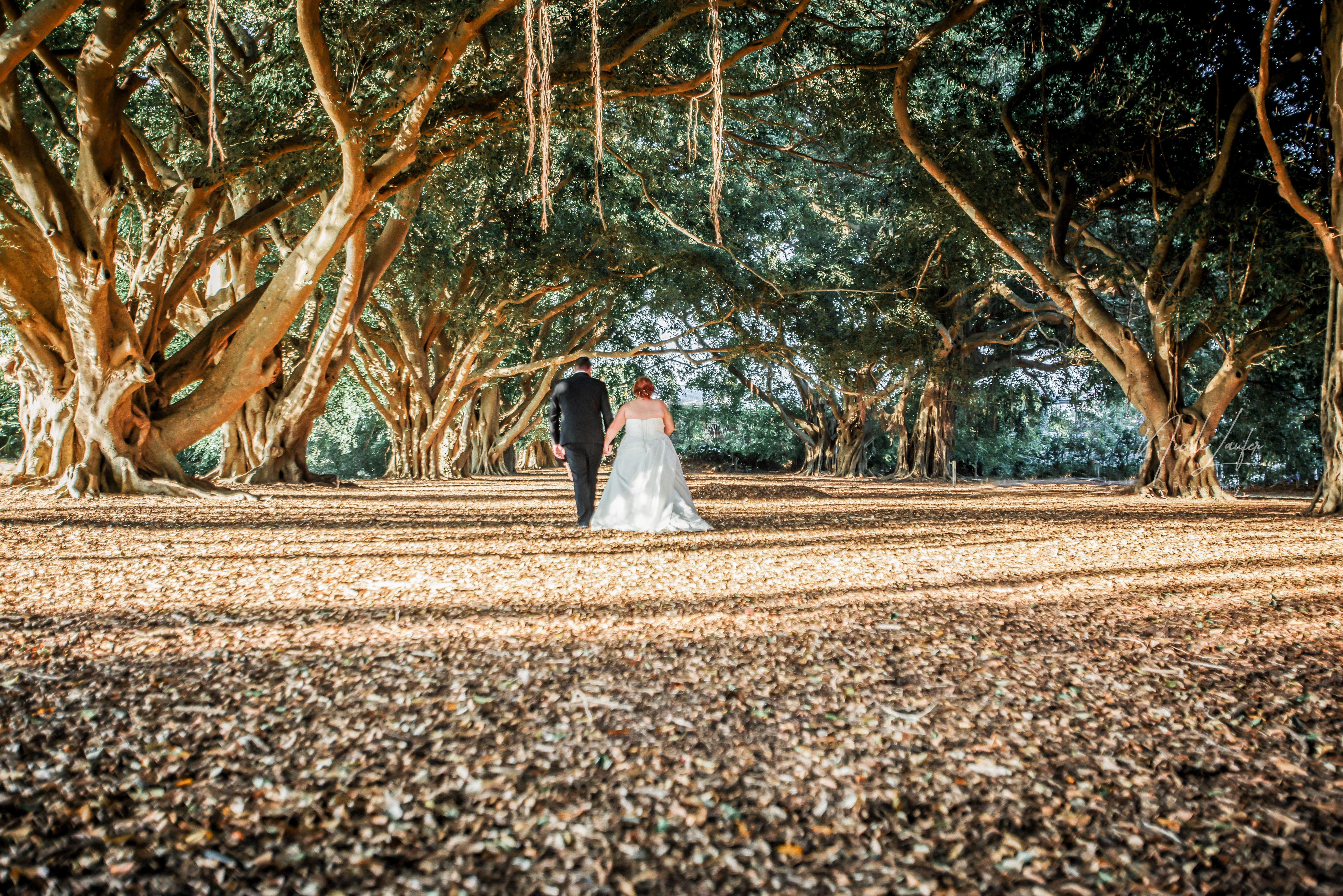 Sunshine Coast wedding photography