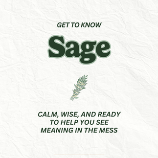 Get to know Sage - the advisor