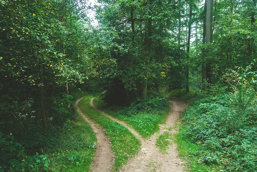 Two paths diverge