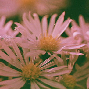 EverMore Edit: The Strange Condition of How Things Come Back to You