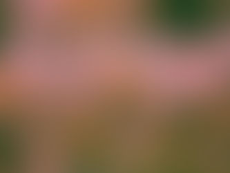 EverMore Edit: The Strange Condition of How Things Come Back to You