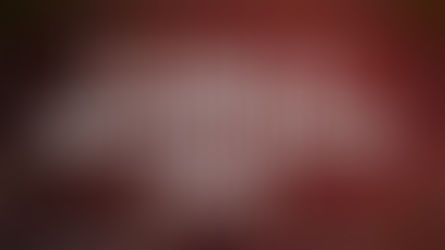 İş Sağlığı ve Güvenliği Bölümü Dersleri 