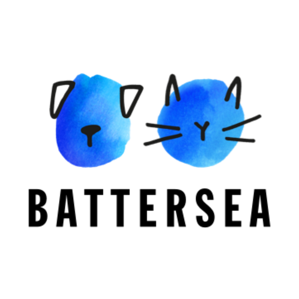 9.png