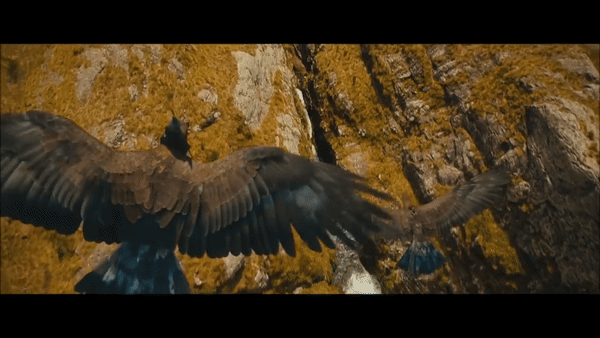 eaglesgif.gif