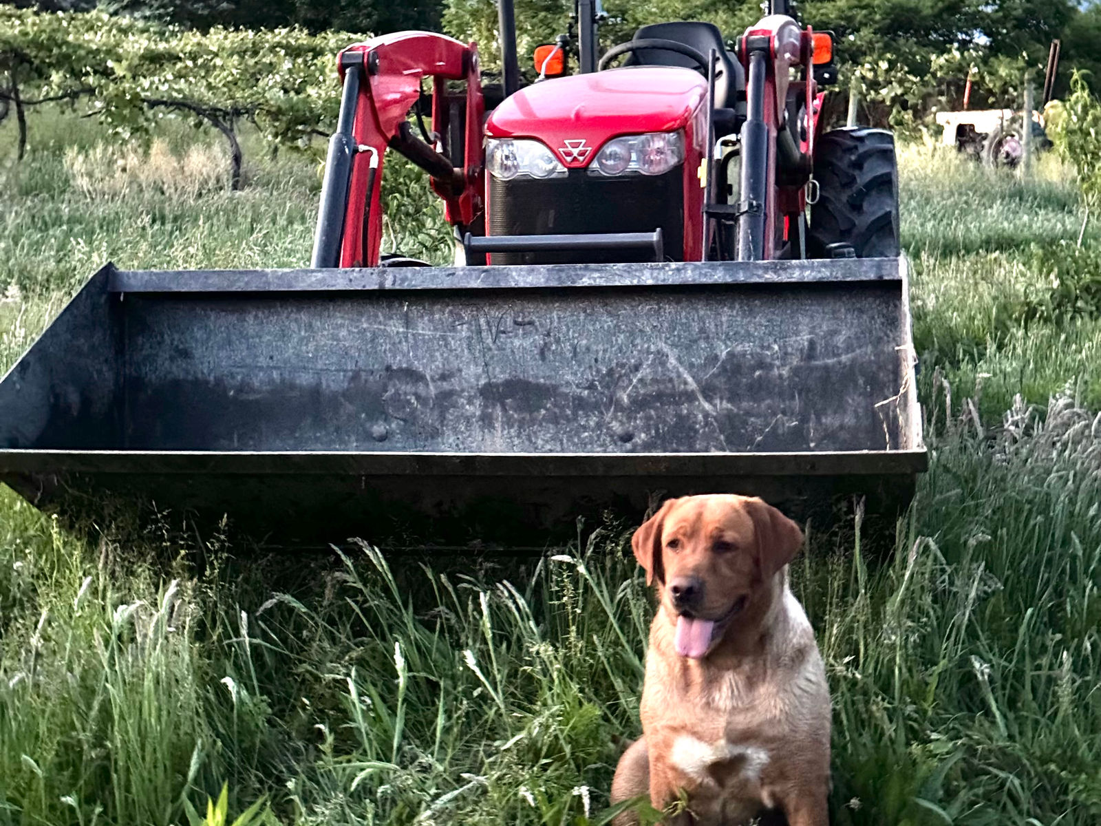 Berry Happy Acres, LLC
