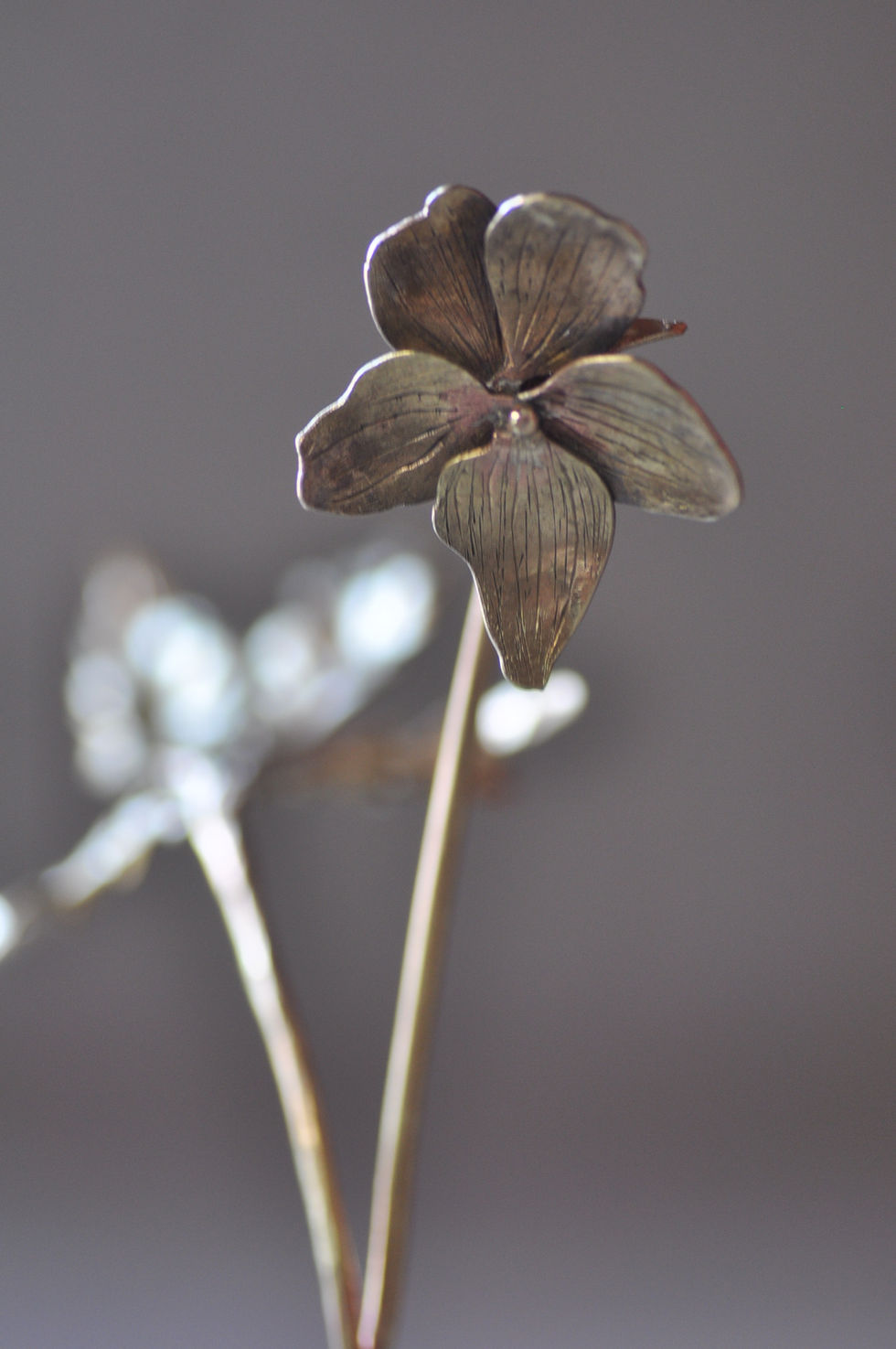 DSC_0004 - コピー (2)