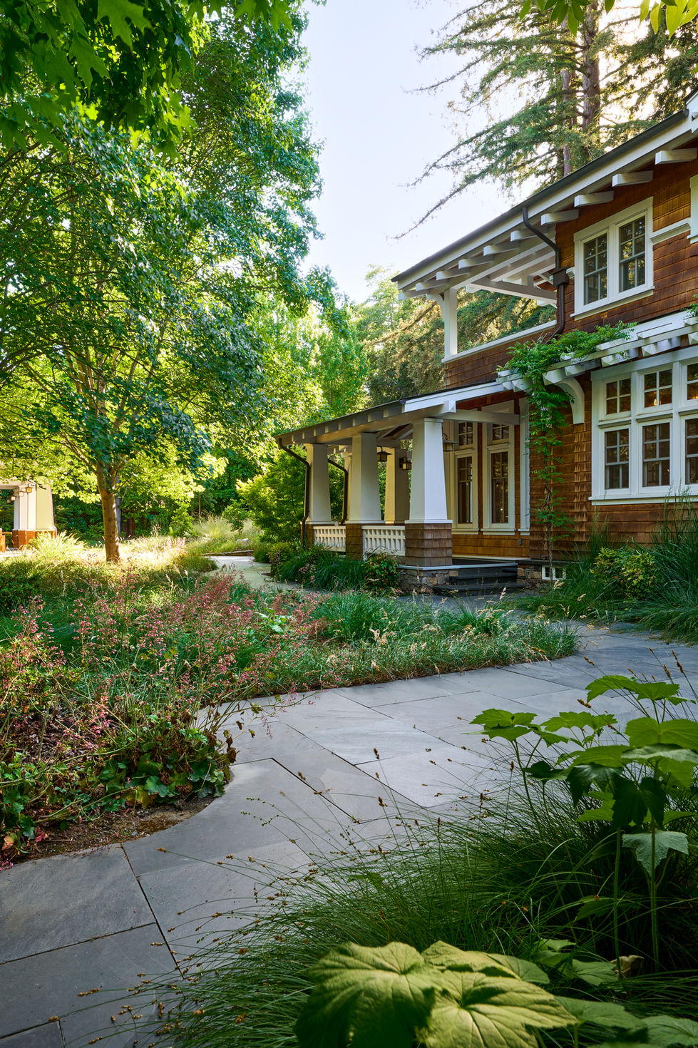 20250523_SanMateoDrGarden_074