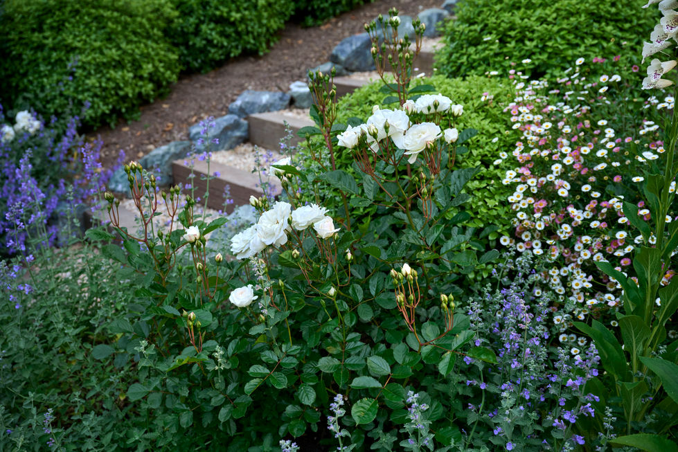 20250509_BrentwoodAveGarden_102