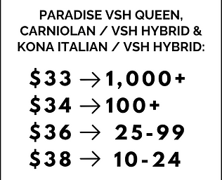 2026 REG Price List - PQH.png