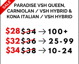 2026 SALE Price List - PQH.png