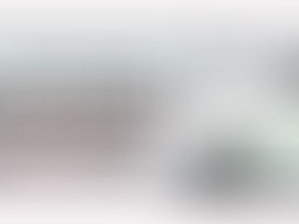 Wednesday 3-29-23... There will be no BLOG tomorrow!